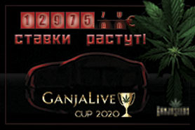 Как не прозевать победу и заполучить авто на «GanjaLive Cup 2020»