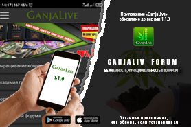 Новая версия приложения GanjaLive уже доступна!
