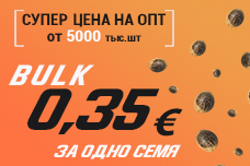 Семена конопли по самым низким оптовым ценам – 0,35 евро!